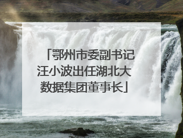 鄂州市委副书记汪小波出任湖北大数据集团董事长